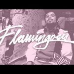 flamingosis