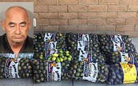 California man busted with 800 pounds of stolen lemons
